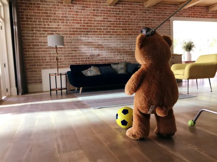Bosch "Goalie"