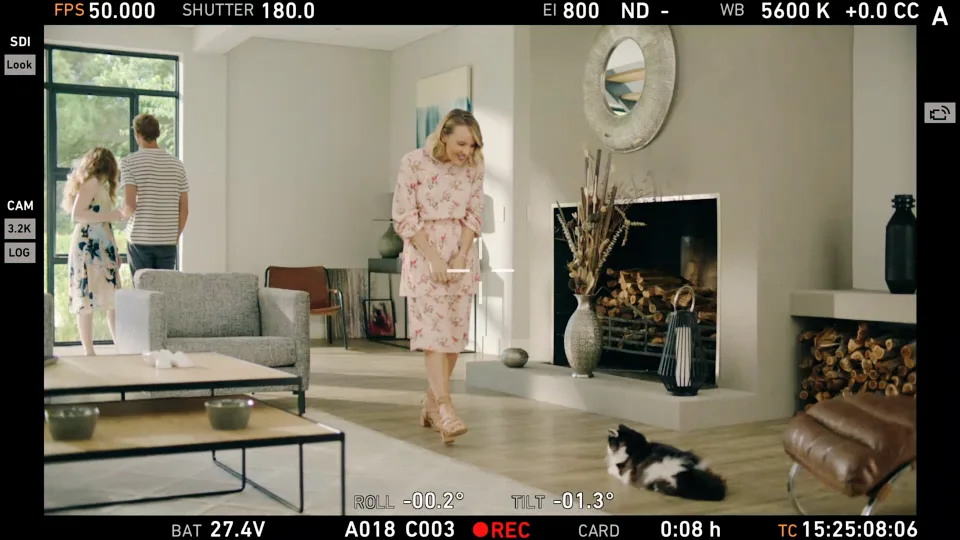 Bosch "Kittie"