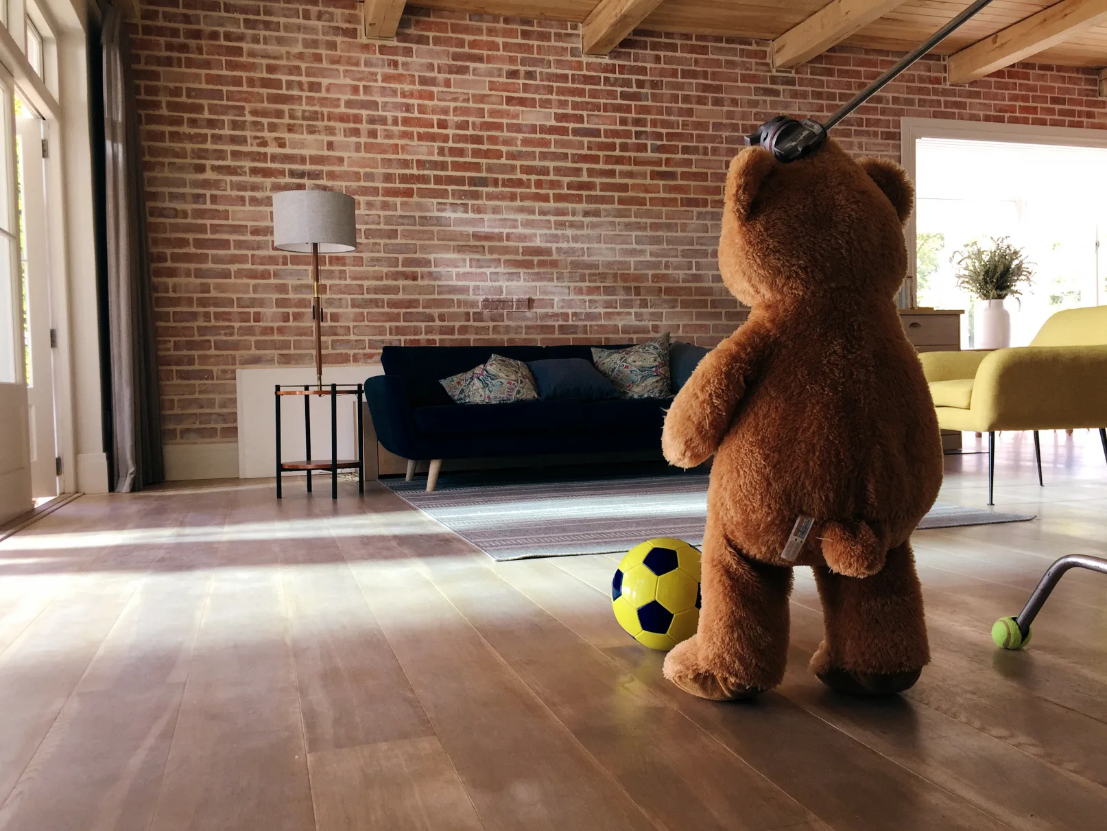 Bosch "Goalie"