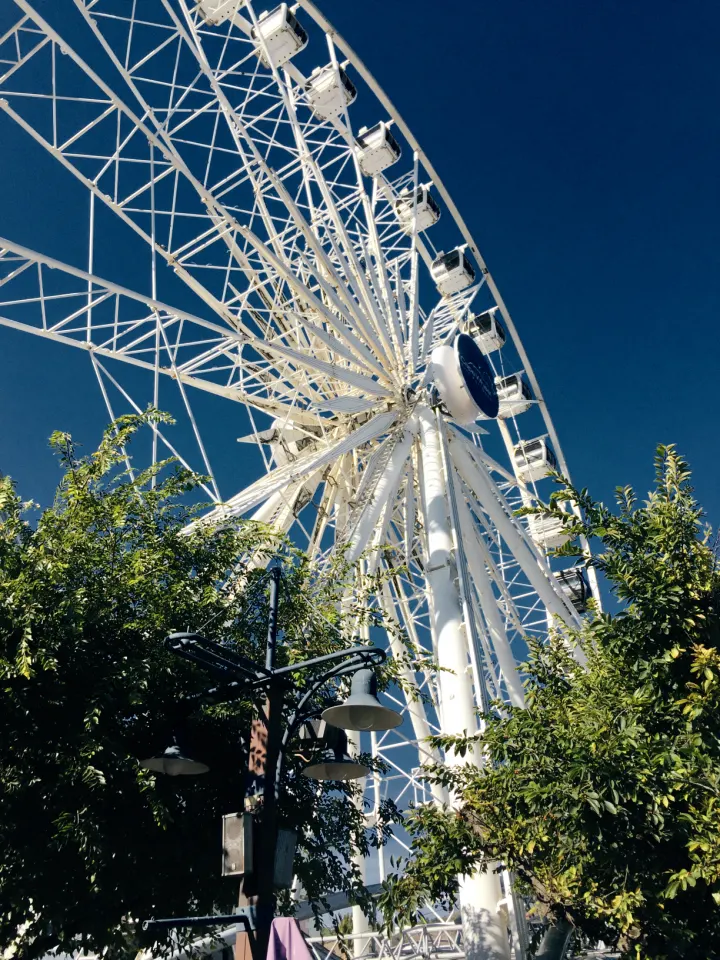 Bosch "Ferris Wheel"