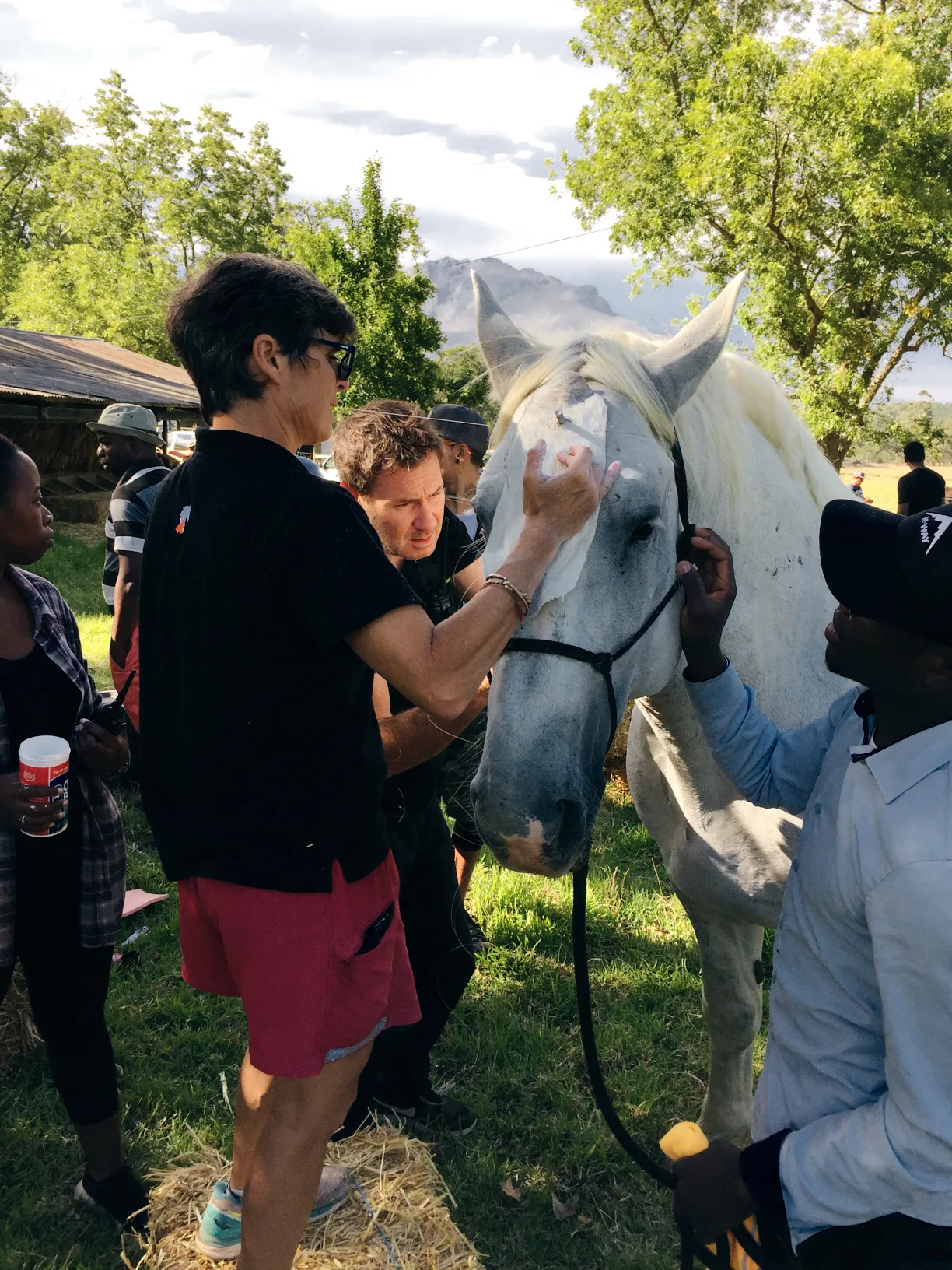 Monte White „Unicorn“